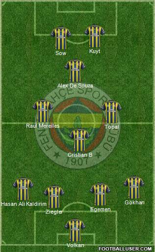 Fenerbahçe SK Formation 2013