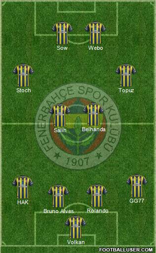 Fenerbahçe SK Formation 2013