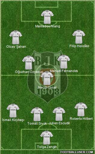 Besiktas JK Formation 2013