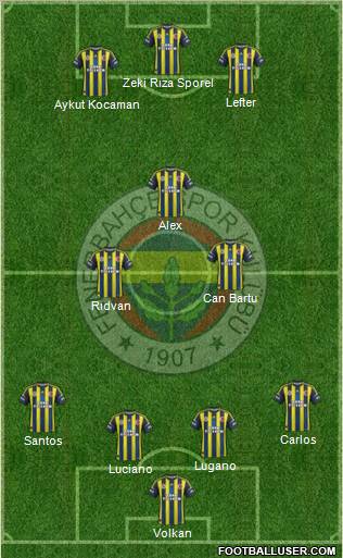 Fenerbahçe SK Formation 2013