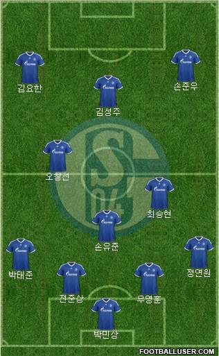 FC Schalke 04 Formation 2013