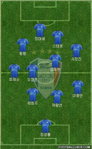 Suwon Samsung Blue Wings Formation 2013