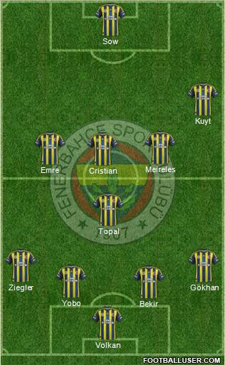 Fenerbahçe SK Formation 2013