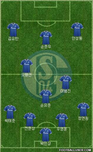 FC Schalke 04 Formation 2013