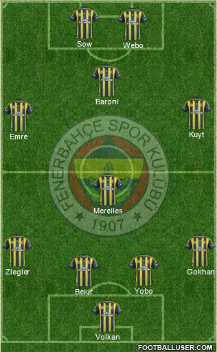 Fenerbahçe SK Formation 2013