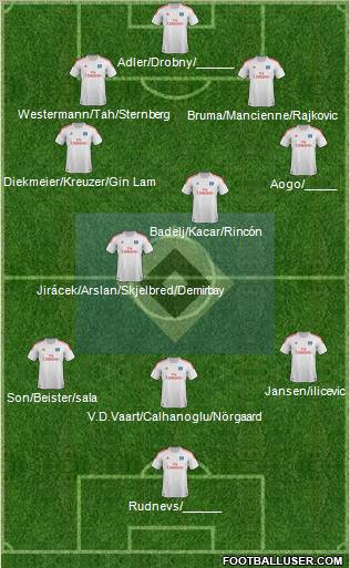 Hamburger SV Formation 2013