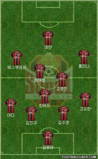 FC Seoul Formation 2013