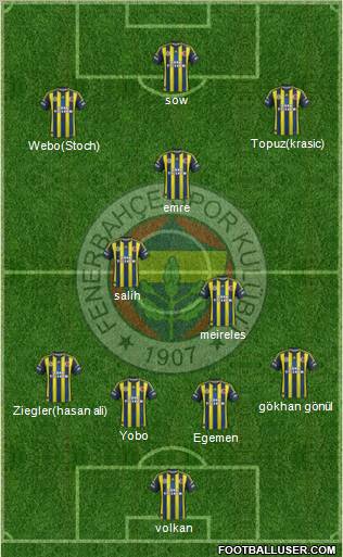 Fenerbahçe SK Formation 2013