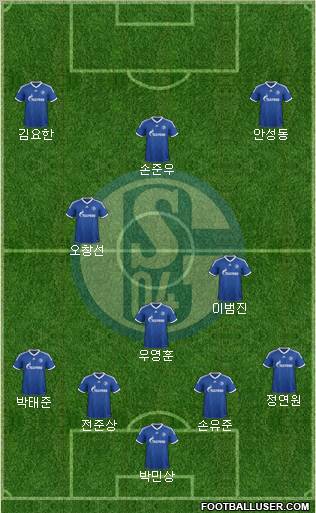 FC Schalke 04 Formation 2013