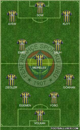 Fenerbahçe SK Formation 2013