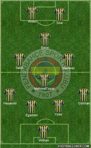 Fenerbahçe SK Formation 2013