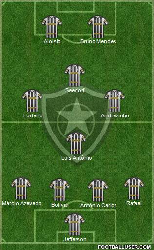 Botafogo FR Formation 2013