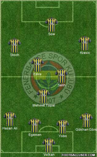 Fenerbahçe SK Formation 2013