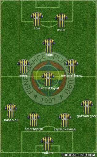 Fenerbahçe SK Formation 2013