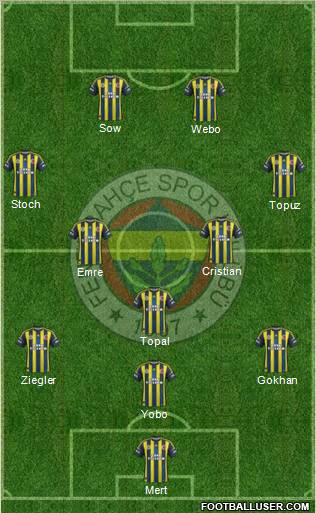 Fenerbahçe SK Formation 2013