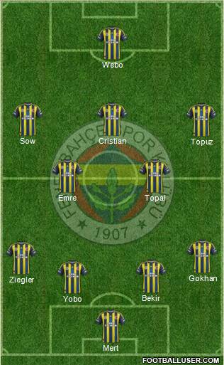 Fenerbahçe SK Formation 2013