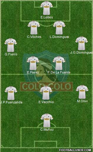 CSD Colo Colo Formation 2013