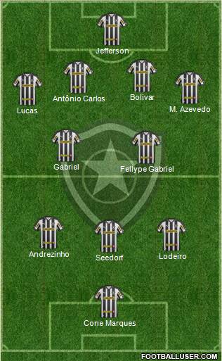 Botafogo FR Formation 2013