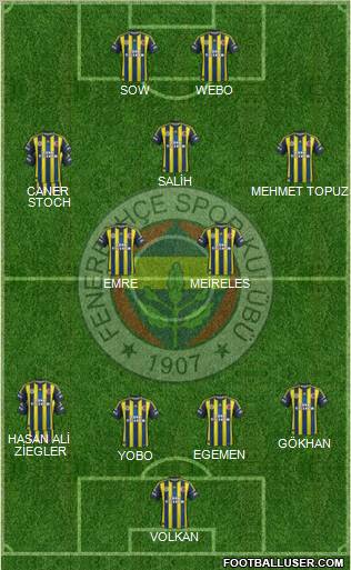 Fenerbahçe SK Formation 2013