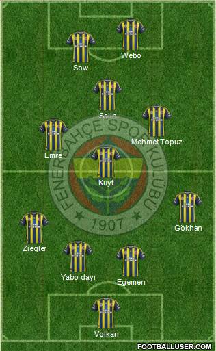 Fenerbahçe SK Formation 2013