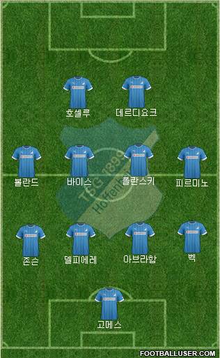 TSG 1899 Hoffenheim Formation 2013