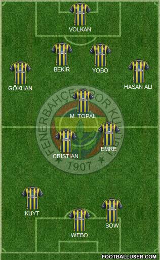 Fenerbahçe SK Formation 2013