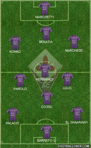 Fiorentina Formation 2013