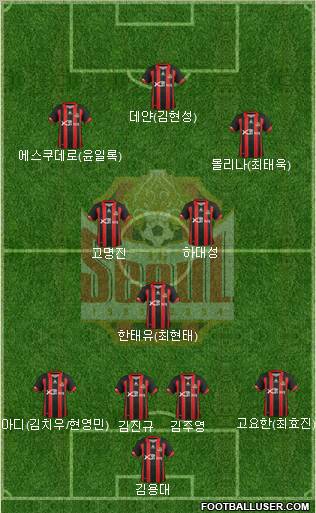 FC Seoul Formation 2013
