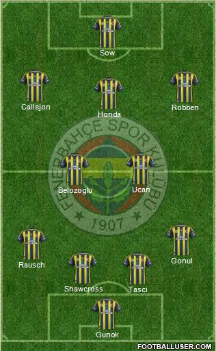 Fenerbahçe SK Formation 2013