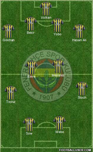 Fenerbahçe SK Formation 2013
