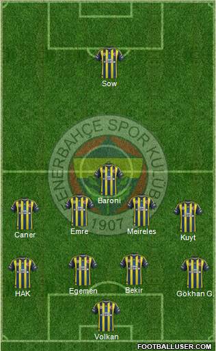 Fenerbahçe SK Formation 2013