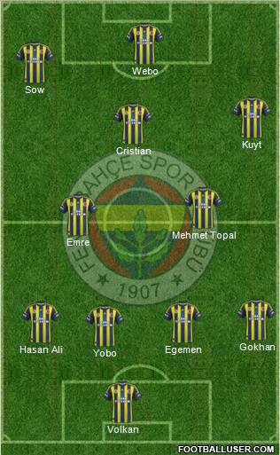 Fenerbahçe SK Formation 2013
