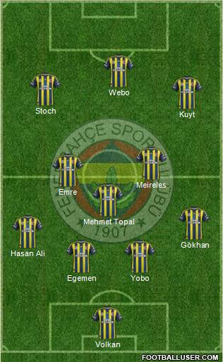 Fenerbahçe SK Formation 2013
