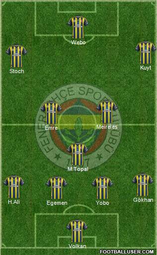 Fenerbahçe SK Formation 2013