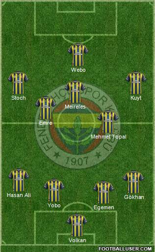 Fenerbahçe SK Formation 2013