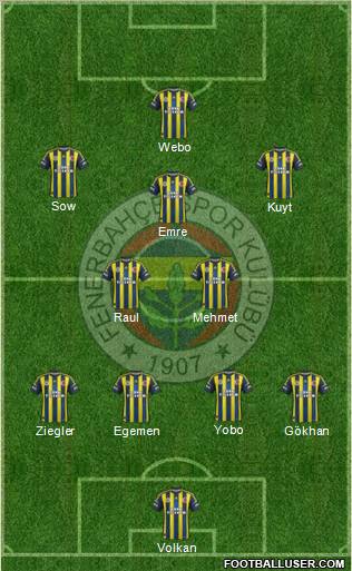Fenerbahçe SK Formation 2013