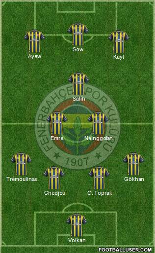 Fenerbahçe SK Formation 2013