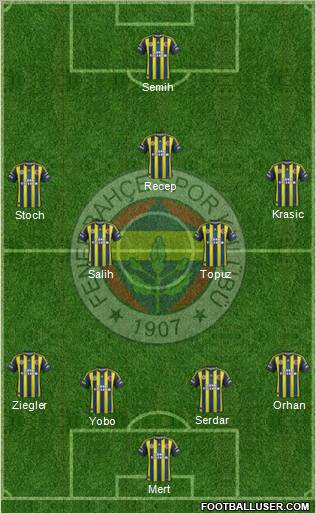 Fenerbahçe SK Formation 2013