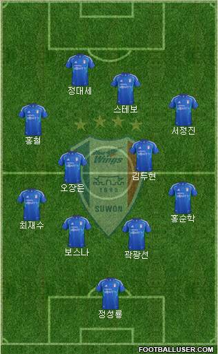 Suwon Samsung Blue Wings Formation 2013