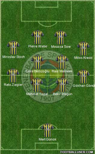 Fenerbahçe SK Formation 2013