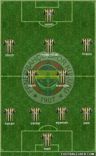 Fenerbahçe SK Formation 2013