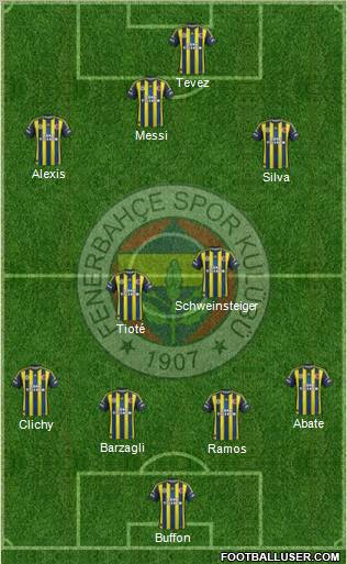 Fenerbahçe SK Formation 2013
