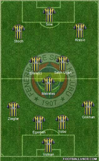 Fenerbahçe SK Formation 2013