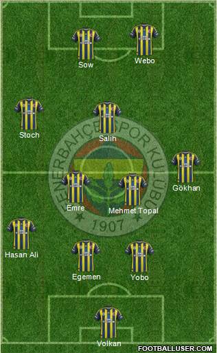 Fenerbahçe SK Formation 2013