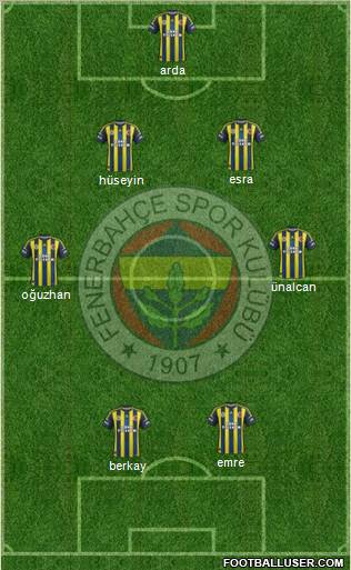 Fenerbahçe SK Formation 2013