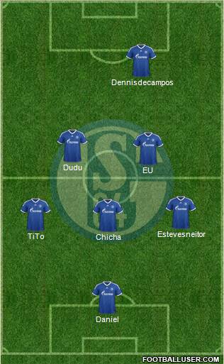 FC Schalke 04 Formation 2013