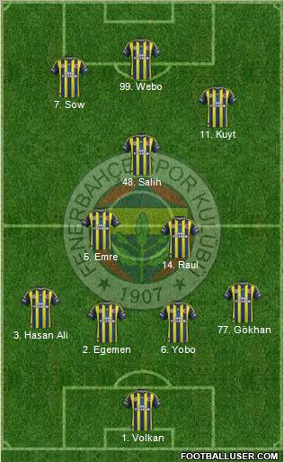 Fenerbahçe SK Formation 2013
