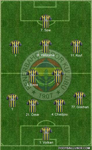 Fenerbahçe SK Formation 2013