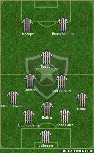 Botafogo FR Formation 2013