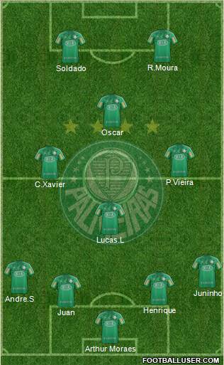 SE Palmeiras Formation 2013